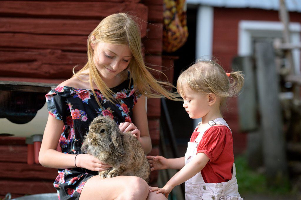Maatilamatkailu, maatilaloma, perheloma