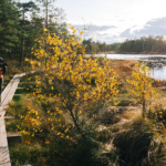 traveldeep_blogi_jyväskylän_luontopolut